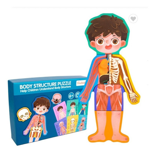 Puzzle Figura Humano Madera Para Niños, Partes Del Cuerpo