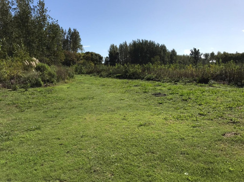 Quinta De 7,6 Hectáreas Con Acceso Terrestre Y Fluvial, Con Cabaña Y Deck.