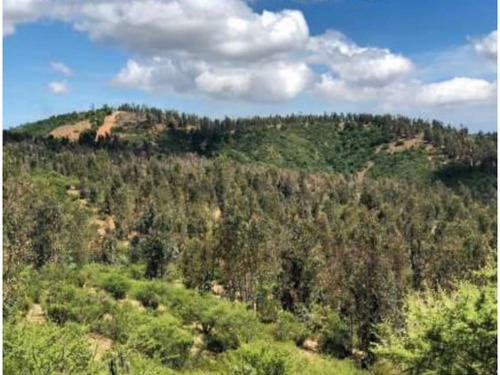 Imagen 7 de 7 de Vende Parcelas En Exclusivo Proyecto Pomerape, Limache. 5 Mi