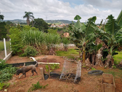 Imagem 8 de 14 de Chácara A Venda, Na Bunjiro Nakao. Cód 384.