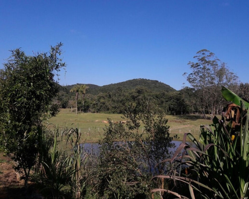 Imagem 11 de 22 de Sitio À Venda Em Juquitiba - 307 - 32982833