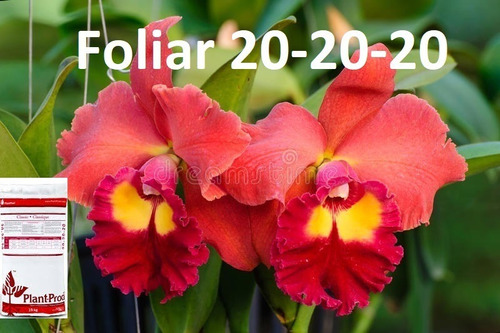 20-20-20 Foliar Importado Excelente P/ Orquídeas   + Brinde