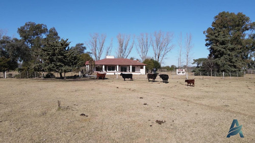 Imagen 12 de 30 de Campo Mixto - 27 Hectáreas - Con Excelentes Mejoras - Carmen De Areco