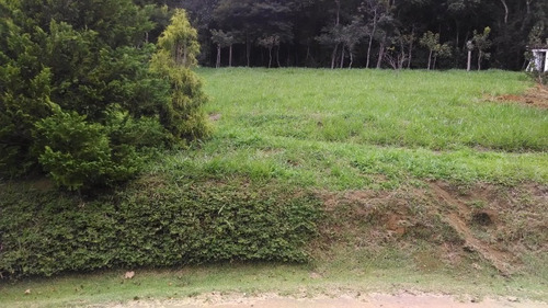 Imagem 5 de 5 de Terreno Semi Plano Em Santo Antonio Do Pinhal - St-412