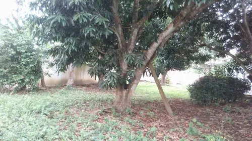 Tuxpan Ver Renta De Casas Frente Al Rio, 1500 M² En Ojite