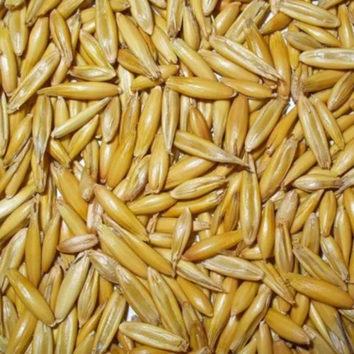 Avena Para Caballo 5kg Premium (fraccionado)