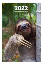 Comprar Libro: Agenda 2022 Semana Vista: Planificador Semanal
