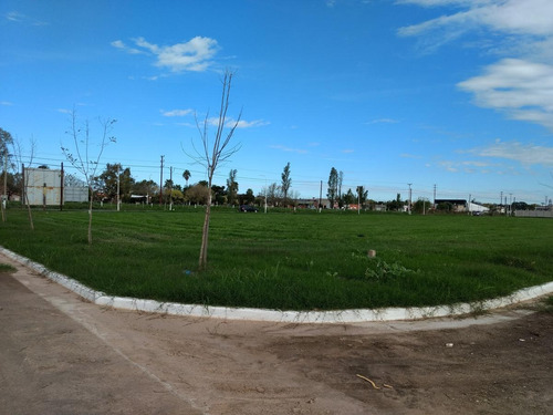 Imagen 5 de 11 de Terreno - Perez