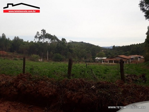 Imagem 2 de 3 de Terreno Em Pedra Bela- Sp - 56