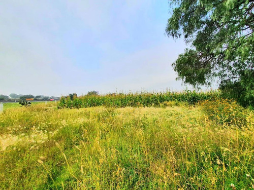 Imagen 5 de 11 de Venta De Terreno En Huitzila Tizayuca Hidalgo , Cerca Aeropu