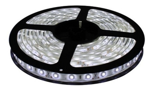 Cinta Led 5050 12v Rollo 5m Luz Blanca Interiores 300 Led