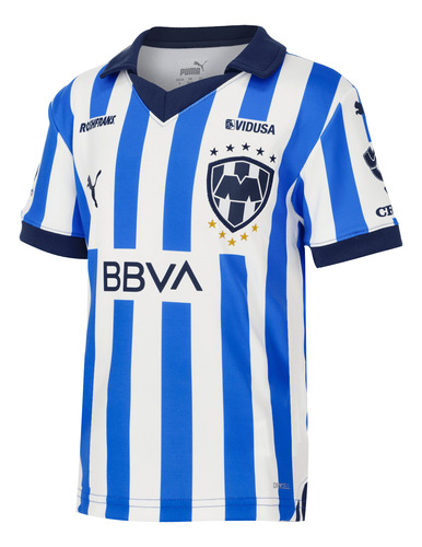 Jersey Puma Futbol Rayados De Monterrey Local Fan 23/24 Niño