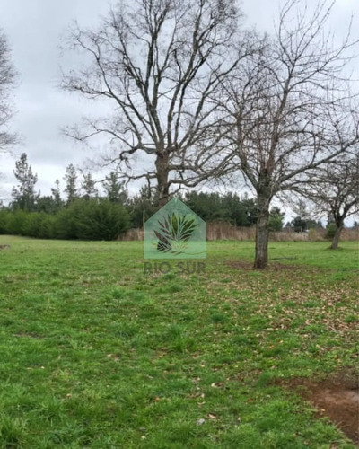 Parcela 0,5 Ha Rio Bueno