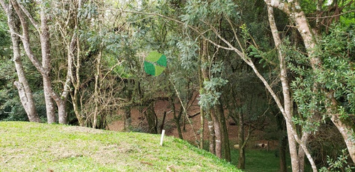 Terreno A Venda No Bairro Centro Em Contenda - Pr. - 350-1