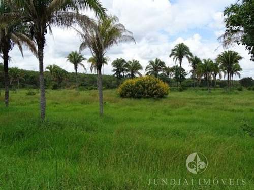 Imagem 21 de 30 de Vendo Ótima Fazenda Com 2337,00 Ha Em Buritizeiro, Norte De Minas Gerais, Gado E Cultura, Muita Água, Toda Formada. Documentação Ok. - Fa00004 - 4483814