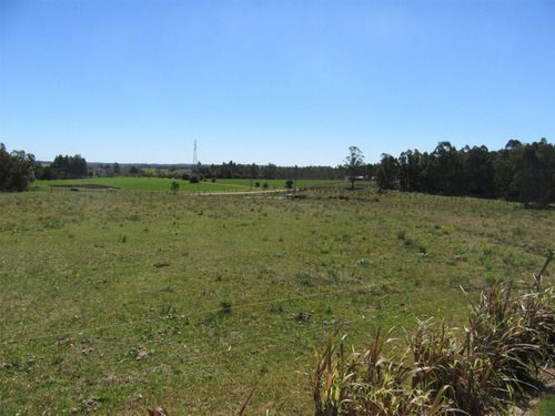 Chacra En Venta En Canelones Ref. 6968