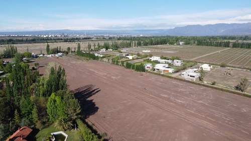 Venta Lotes Barrio Verona Vistalba Lujan De Cuyo