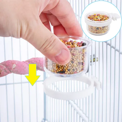 Comederos Para Aves En Paquete Completo
