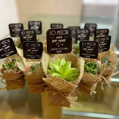 Imagen 7 de 11 de 10 Mini Cactus Suculentas Souvenir Eventos Cumple Isiflor