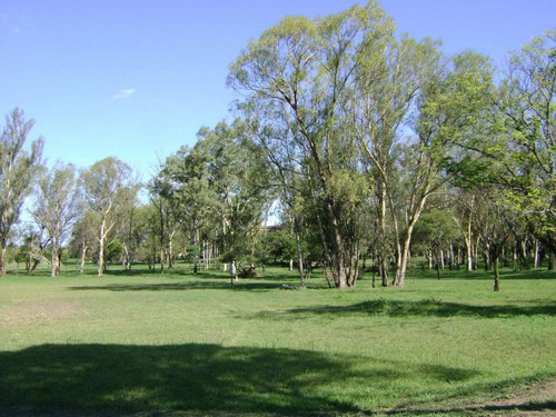 Imagen 3 de 6 de Santina Norte 600m2 Oportunidad !