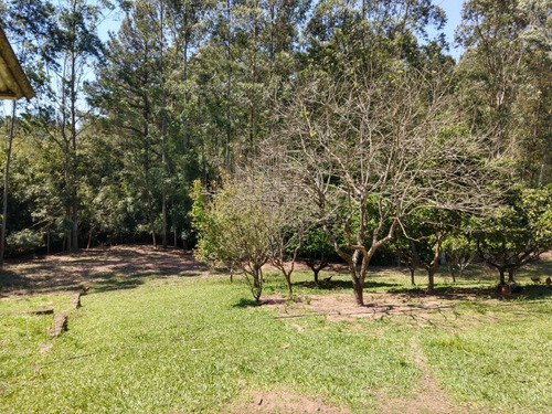 Chácara 16.000 M² - Rincão São João - Glorinha - Rs - 2238 - 34456025