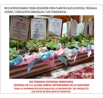 Comprar Recuerdos Plantas Suculentas Bautizo Cajas Comunion Yute