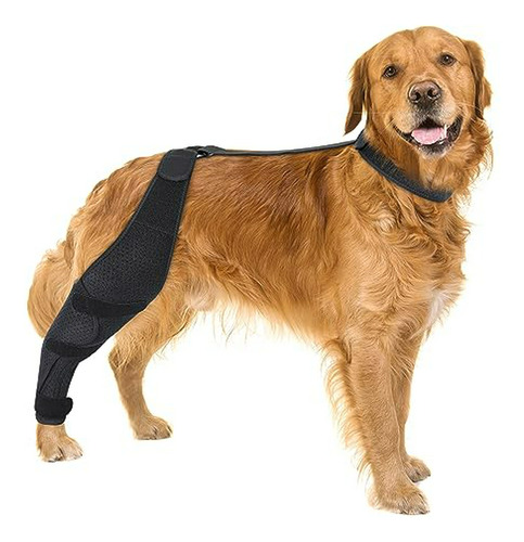 Soporte Para Rodilla De Perro Compatible Con Todas Las Talla