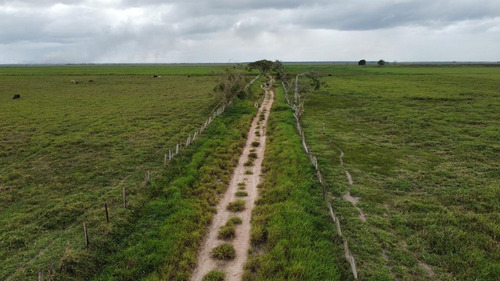 Imagen 8 de 27 de Se Vende Finca El Maitero Via El Sur De Monagas Ve02-1098vs-mtru