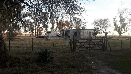 Imagen 4 de 9 de Campo - Los Muchachos