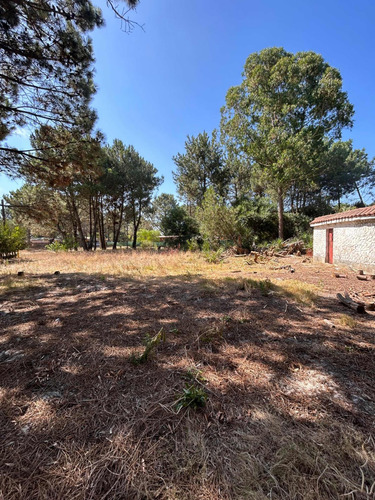 Terreno Con Mejora En Pinamar Norte 600m2
