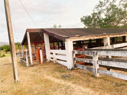 Impresionante Rancho En Manuel Avila Camacho - Tonalá