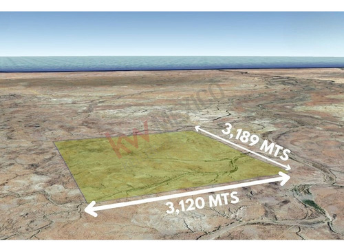 Terreno De 1,000 Ha En Km 97 Carretera A C.constitucion Con Ojo De Agua B.c.s.