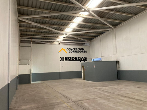 Arriendo Bodega C/of De 234 M2 En Ruta Los Libertadores.