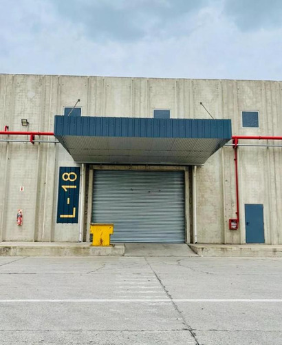 Deposito/local Comercial 600m2