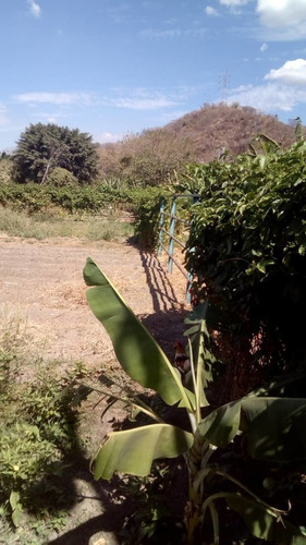 Imagen 9 de 9 de Venta De Finca En Santa Cruz De Aragua. Via El Guaril