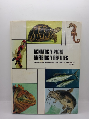 Agnatos Y Peces - Anfibios Y Reptiles - Biología - Zoología 