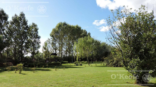 Imagen 9 de 28 de Departamento En Venta De 3 Ambientes En Altos De Sol, Berazategui