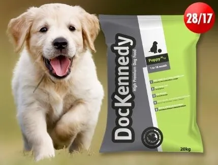 Cabeza Labrador Retriver Clip de Corbata diapositiva Gran Regalo 208