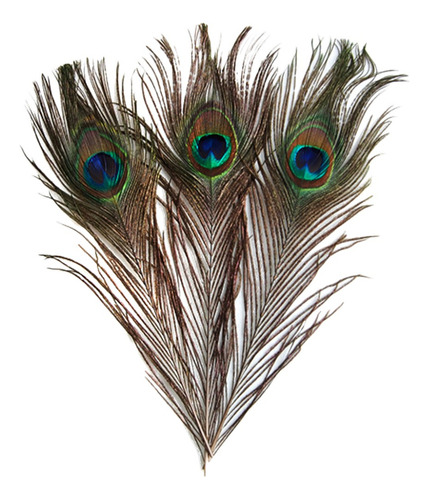 ' Pluma De Cola De Ojo De Pavo Real 10pcs Para Disfraz