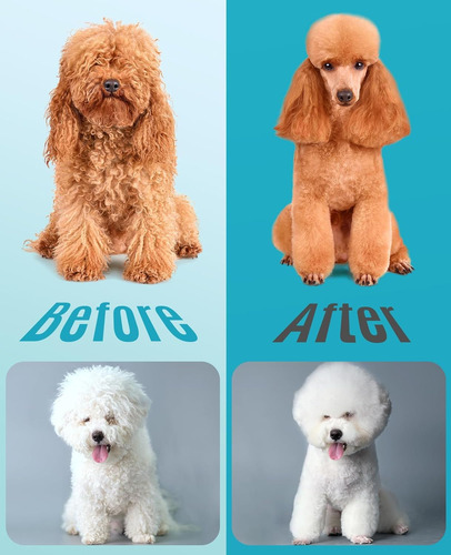 Oneisall Dog Clippers For Grooming Super Power Do De 2 Veloc