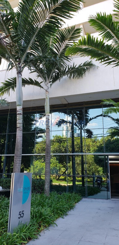 Imagem 9 de 13 de Sala Á Venda E Para Aluguel Em Chácara Da Barra - Sa267923