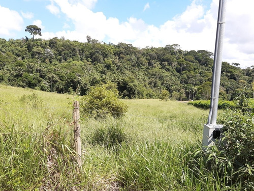 Imagem 14 de 15 de Sítio Enseada Com Reserva Legal E App Linda, Local Exclusivo