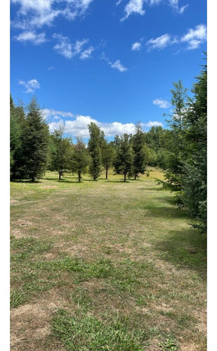 Venta / 2 Parcelas Molco - Una Con Casa / Ambas O Separadas