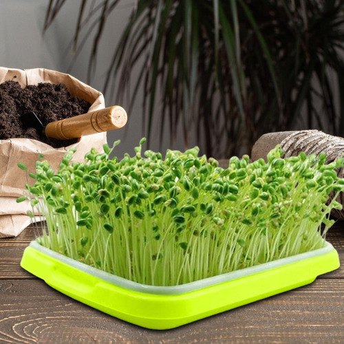 Bandejas De Cultivo Bandeja Para Germinar Plantas Bandeja De