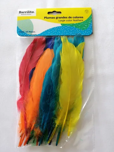 Pluma De Ave Para Manualidades (60 Plumas De Colores)