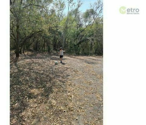 Imagen 6 de 7 de Terreno En Allende A 50 Mts Del Río Ramos (gla)
