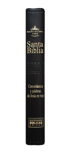 Imagen 2 de 9 de Biblia Reina Valera Letra Grande Concordancia Color Negro