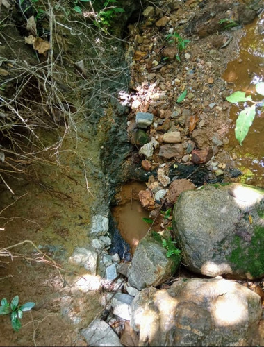 Imagen 24 de 30 de Vendo Finca En Tocuyito Vía Cachinche ( Dt )