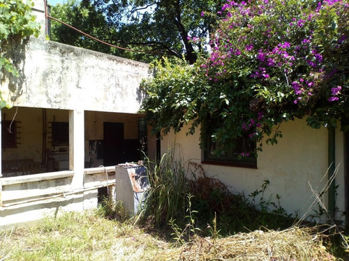 Imagen 14 de 25 de Chalet 3 Amb Amplio A Reciclar- Lote 880 M2 - V.ballester