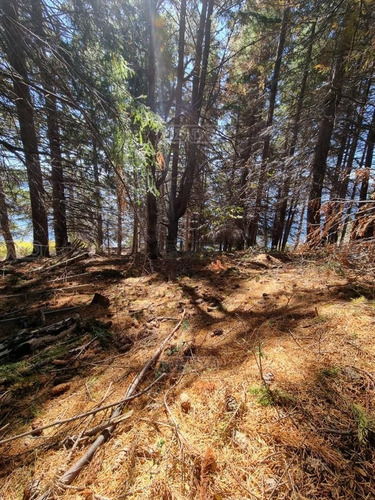 Imagen 7 de 29 de Terreno Lote En Venta Ubicado En Villa Campanario, Bariloche, Patagonia